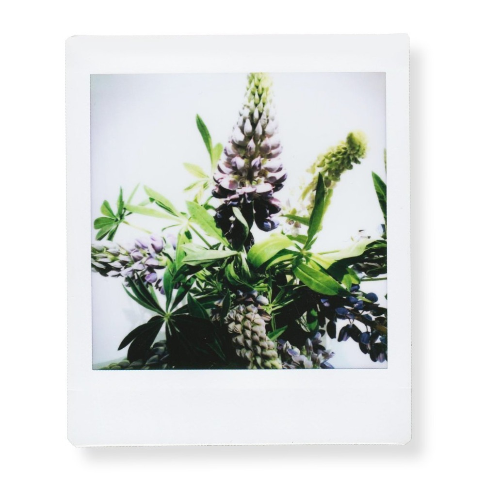 Fujifilm Instax Vierkante Film - Instant Film Pack recensie en prijs